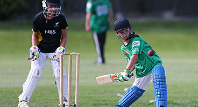 Junior cricket2