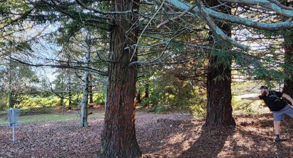 Disc Golf at Saxton in woods