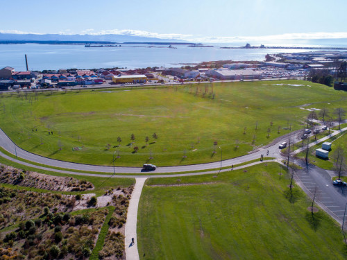 SaxtonFields034 Harakeke Green