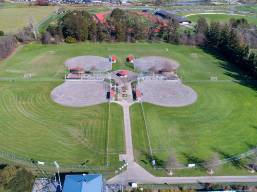 Saxton Field Softball Diamonds drone shot