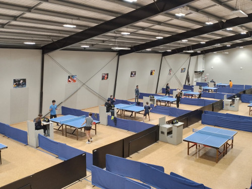 Table Tennis Nelson