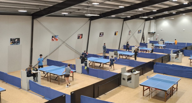 Table Tennis Nelson